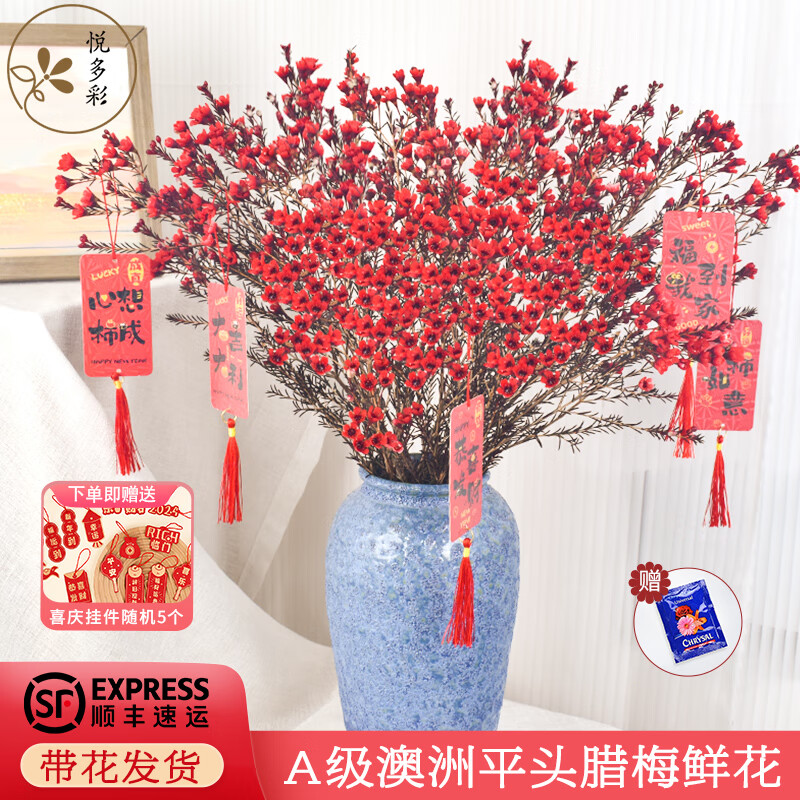 悦多彩A级澳洲平头腊梅中国腊梅鲜花云南基地直发生活鲜花 银柳鲜枝 A级平头腊梅红色1扎（染色）送5个小挂件