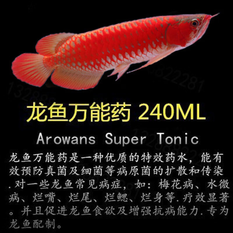 龍魚藥水藥滅蟲劑抗病毒龍魚祥龍魚藥龍魚專用藥 祥龍龍魚藥240ml藥
