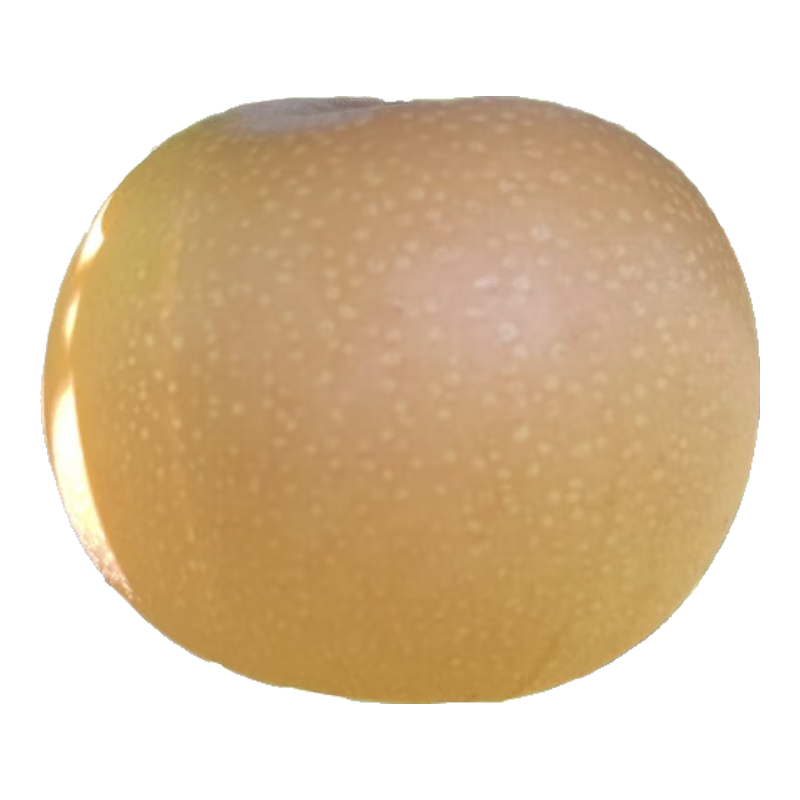 ������ɽ�������� ����4�� ����200g+ ����ˮ�� Դͷֱ�� 17.9Ԫ