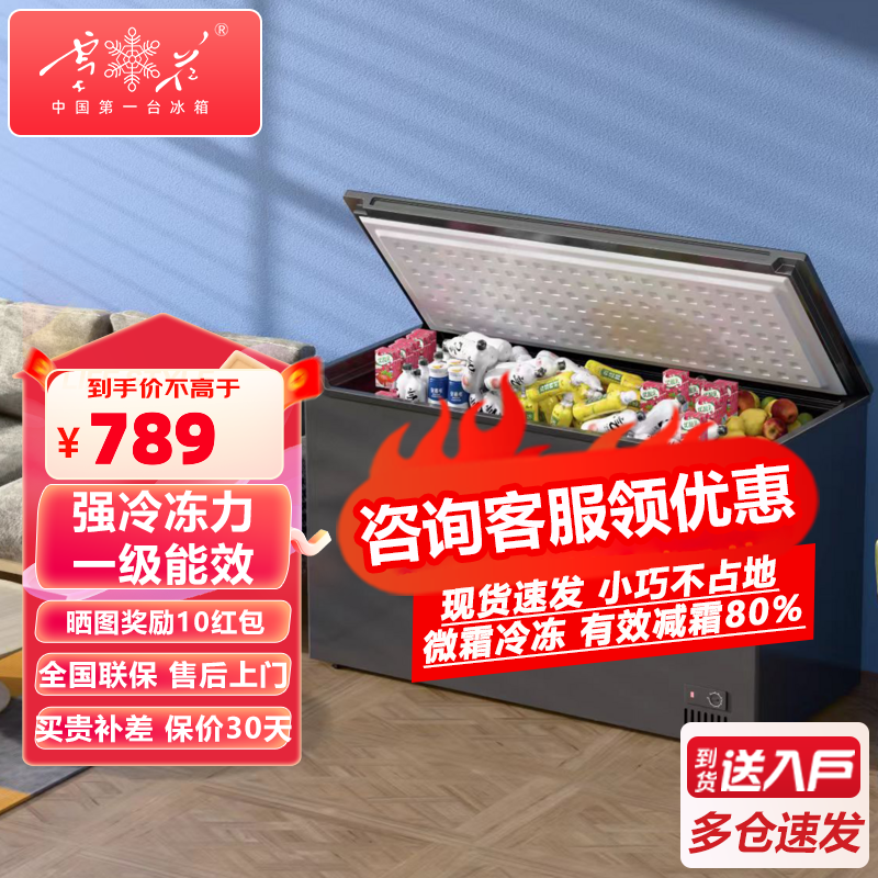 ѩ�����ñ�������˪������������˪��ʽ��������䶳������ת����һ����Ч 289L