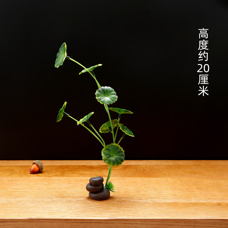 德克欧酒店餐饮菜品刺身摆盘装饰花草装盘点缀创意冷菜围边小 象棋石