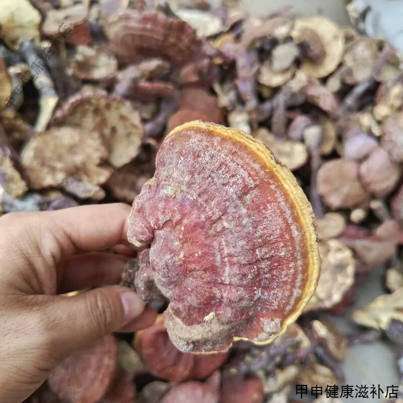 北京同仁堂貴州野生赤靈芝 干品中藥材整枝特級(jí)紅林芝草真品泡酒茶切 500克