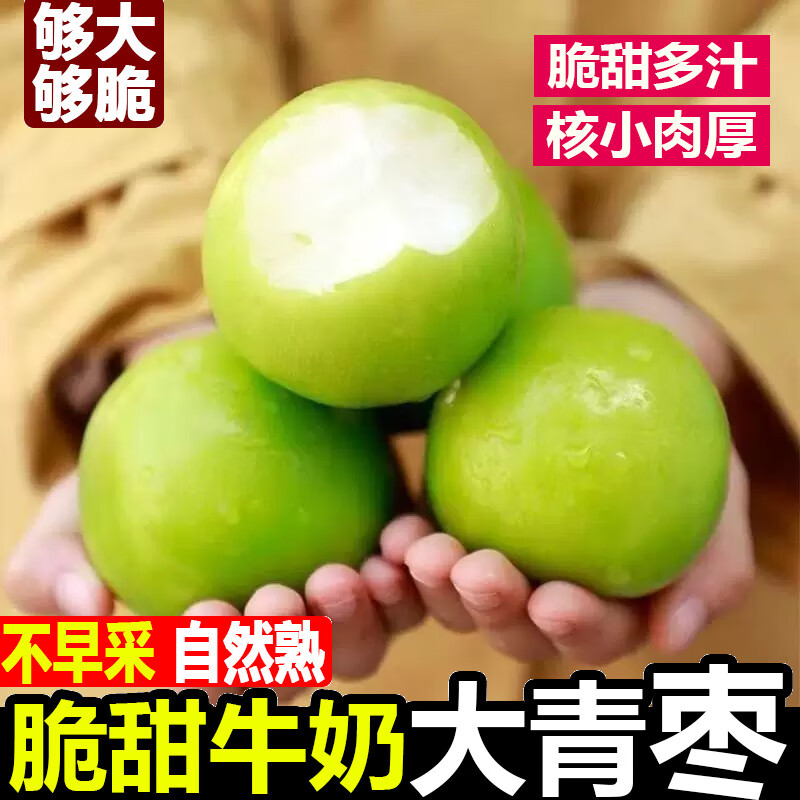福建漳州牛奶貴妃蜜棗大青冬棗大果新鮮水果當季鮮棗子整箱CC 3斤 首選 小果