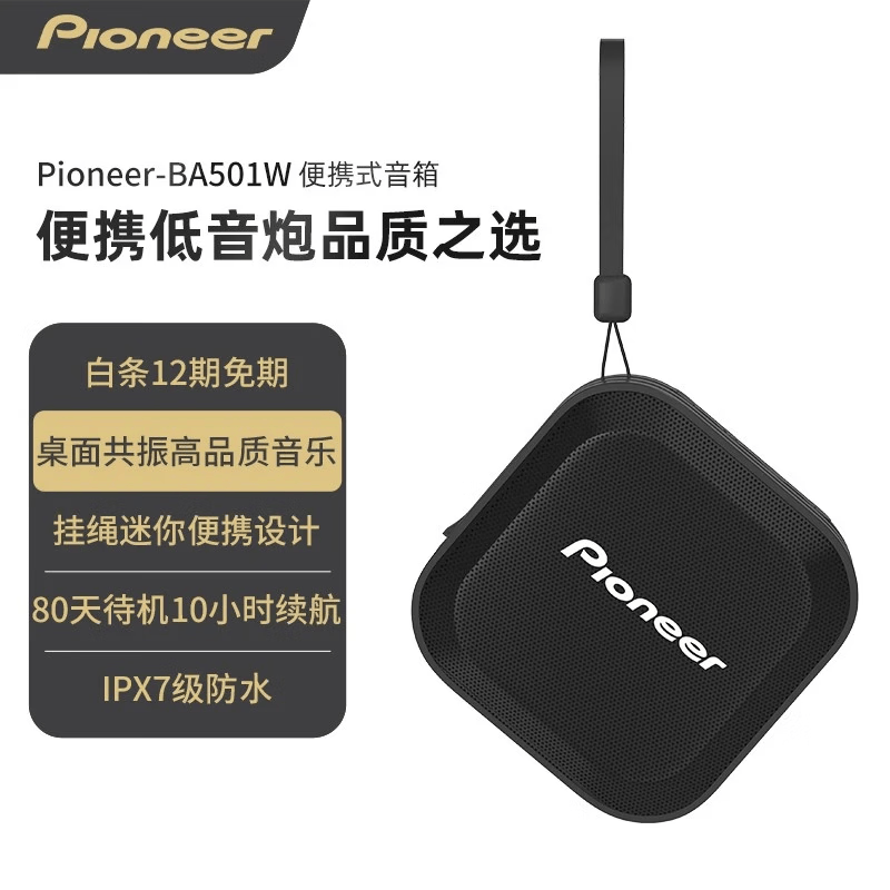 先锋（Pioneer） 便携式蓝牙音箱低音炮户外音箱迷你可免提通话7级防水设计桌面无线扬声器小音响 黑 7级防水长续航音响（9成新） B501W