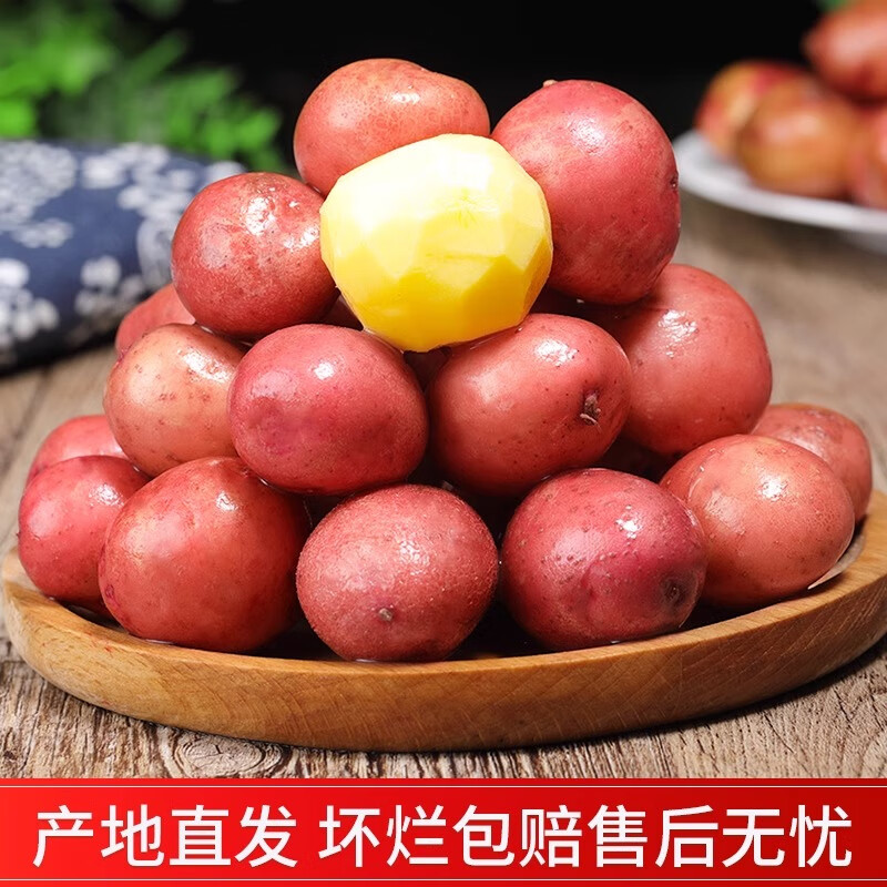 北森南屿云南新鲜红皮土豆红皮黄心马铃薯乡村洋芋高原现挖蔬菜 9斤小果