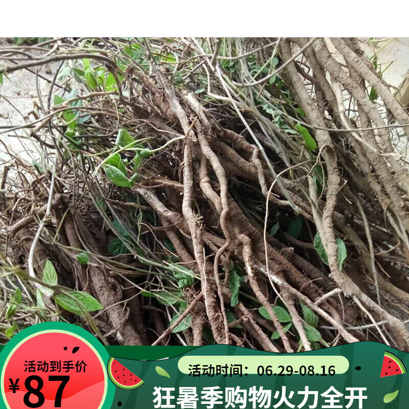 千斤拔 一条根小叶千金拨钉地老鼠尾钻地风500克晒干