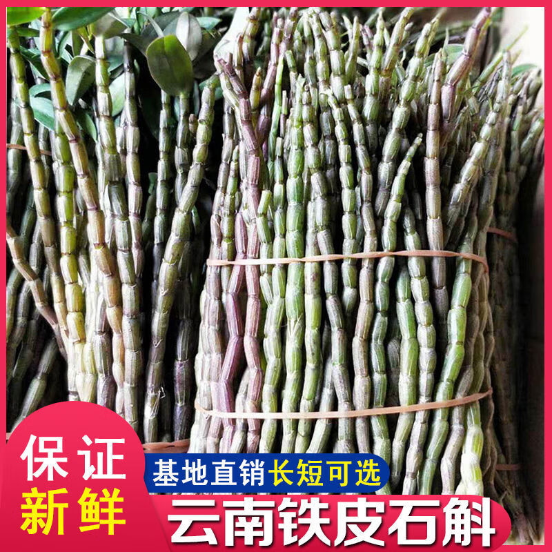 霍山铁皮石斛鲜条五年生紫皮石斛中药材新鲜石斛条石斛枫斗石斛花 铁皮石斛新鲜短条500克