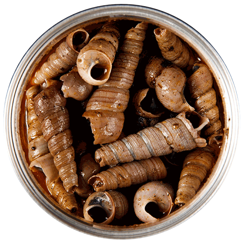 简某某 青岛即食麻辣小海鲜爆头八爪鱼 麻辣酱爆钉螺 290g 罐装 熟食