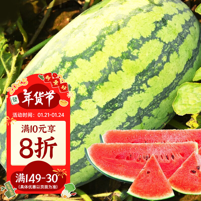 北蔬西瓜种子南方水果种子无籽特大甜多品种 金城5号西瓜种子50粒