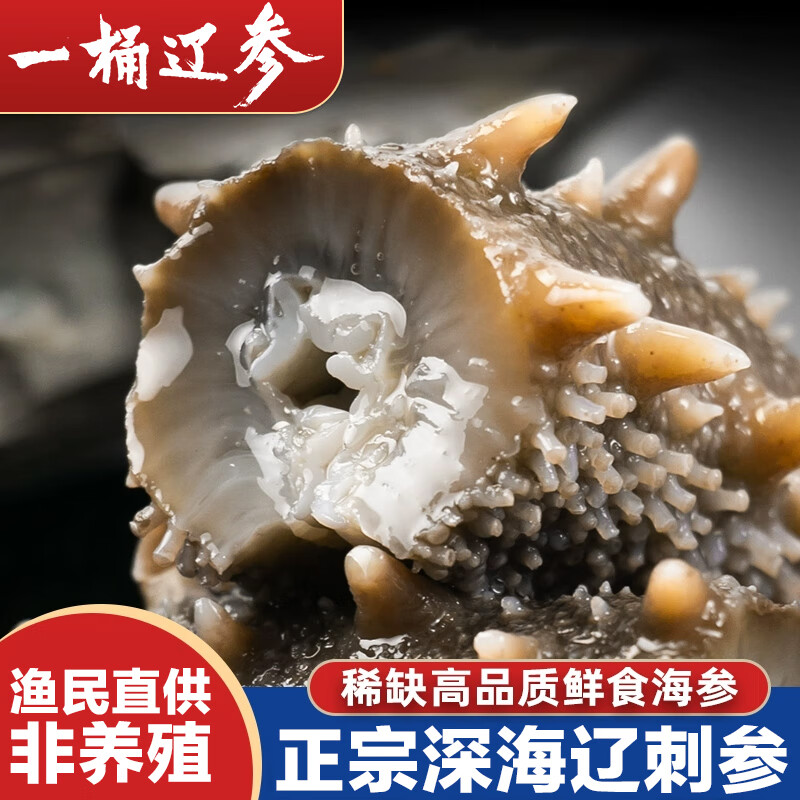 海金尊大连辽参鲜食海参即食海参一斤8-10只一桶辽参 劲道口感500g