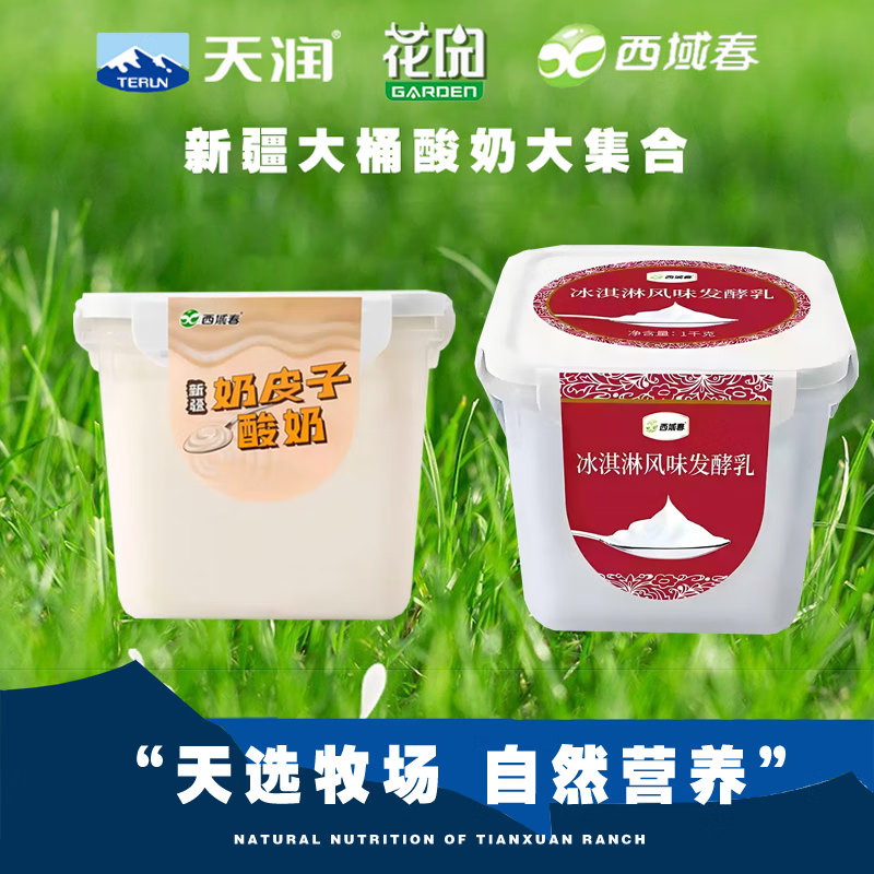 西域春酸奶大方桶新疆老酸奶低温全脂风味水果捞酸奶益生菌生牛乳发酵乳 冰淇淋酸奶2斤 +奶皮子酸奶2斤