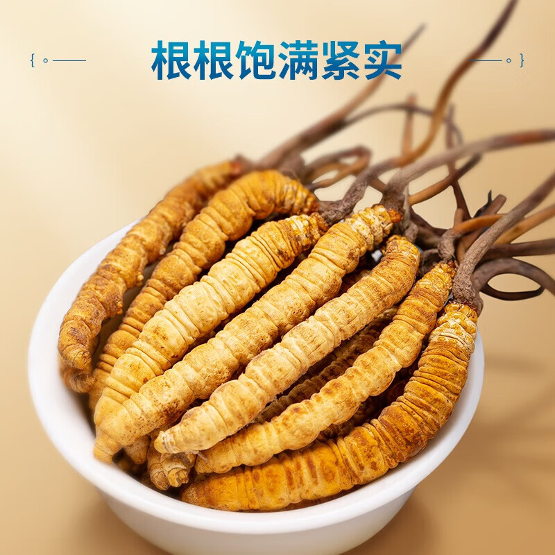 粗栗树头茬冬虫夏草礼盒健康营养滋补品健康送礼 【4根/克 20根-5克】