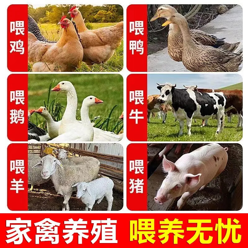 商品图片 5