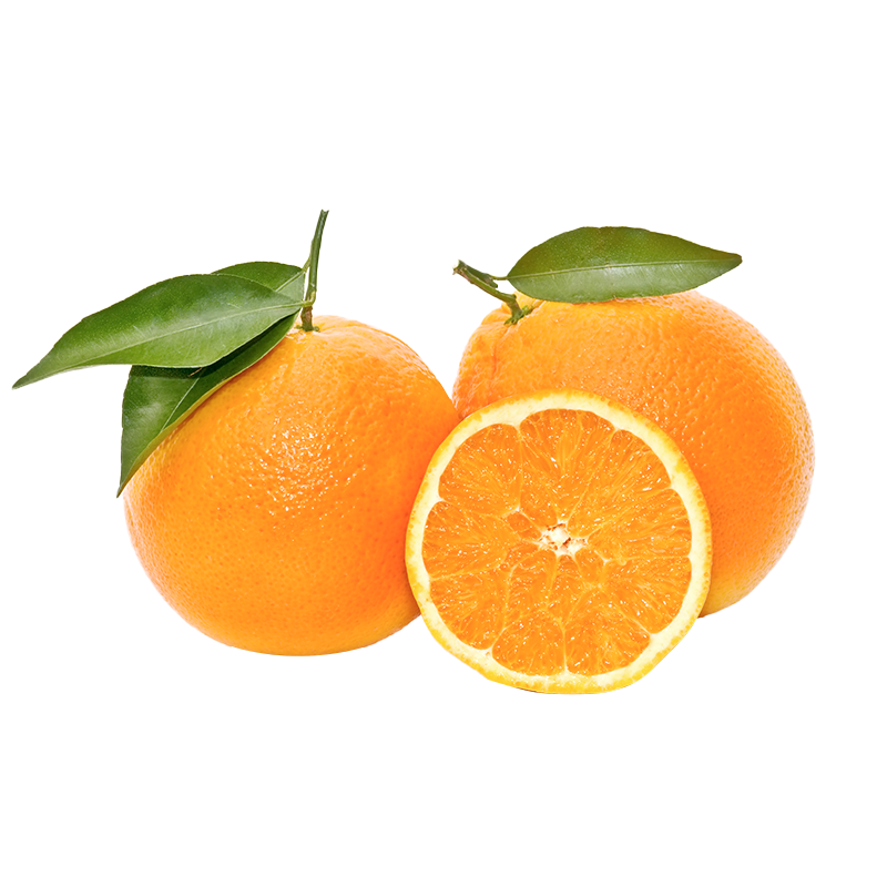 ���� ������������� ����7.5�� ����150g ����ˮ�� Դͷֱ�� 19.8Ԫ