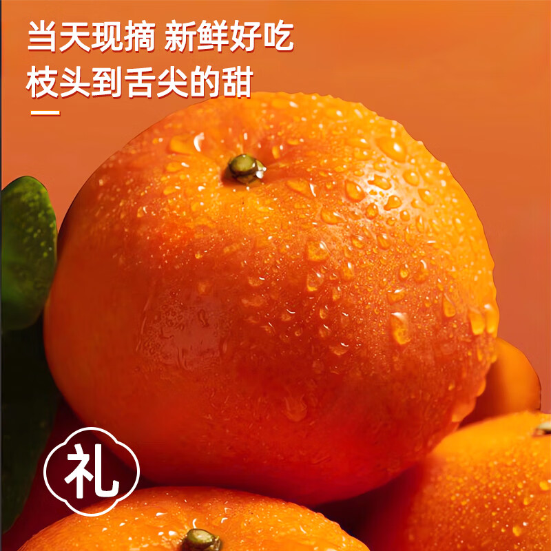 云南高山沃柑纯甜沃柑树上熟新鲜橙子桔子生鲜应季新鲜孕妇水果 净重8.5斤【果径70mm+】纯甜多汁