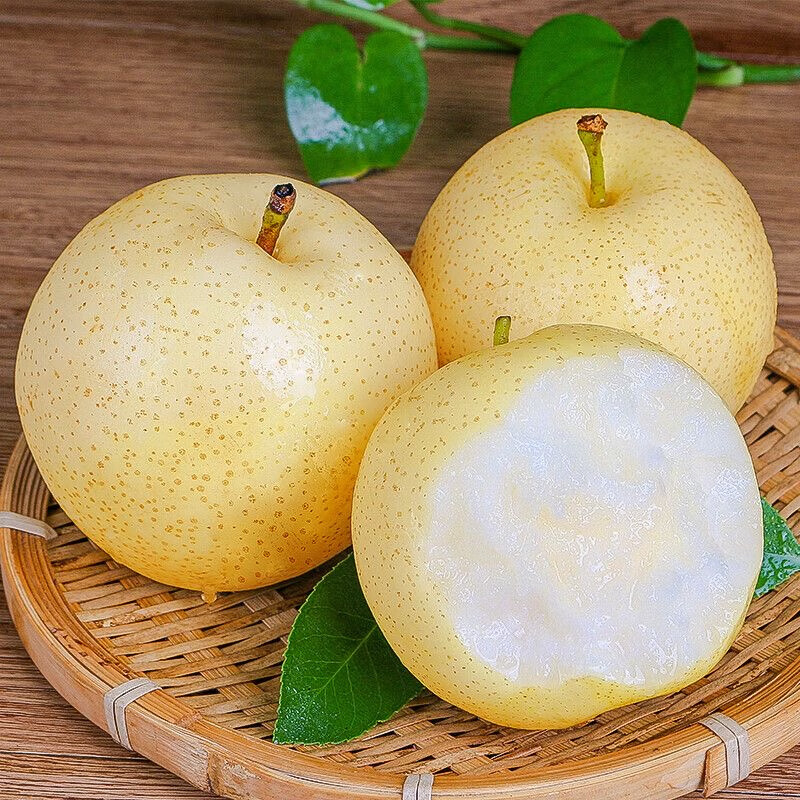 果迎鲜皇冠梨 河北皇冠梨 梨子 脆梨酥梨 新鲜水果 生鲜 4.5斤装