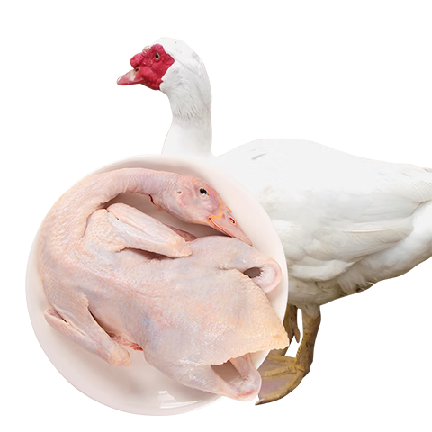 ʳƷ㶫Ѽ4䶳ѼѼͷѼ65