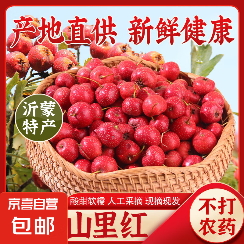 山楂年货 新鲜山里红甜红子 酸甜可口 可做雪花山楂食用需适量 精品中大果 500g（纸箱）