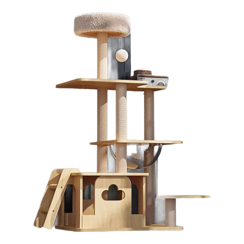 �¿����è��̨̫�ղ�ʵľè����è��è��һ��è��è����Ʒ��װ ĺ���Ǳ������� è����