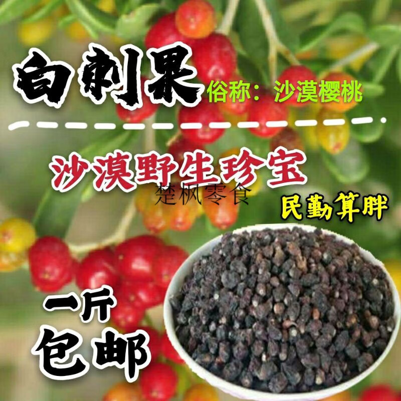 温即甘肃民勤沙漠白刺果酸胖沙棘养生茶500g干果 白刺果半斤试用装