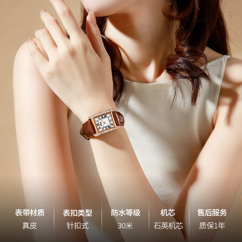 斐乐手表复古女士小方表时尚个性女表轻奢腕表女表手表礼盒送女友6638 FLL38-6638-102【棕色单表】