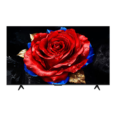 TCL电视 75T5L 75英寸 288Hz高刷 QLED量子点 deepseek AI电视 超薄 高清平板电视 以旧换新 政府补贴 75英寸 标准版【标配底座】