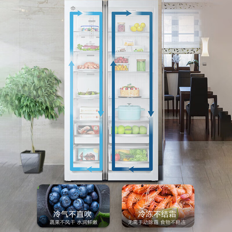 格力（GREE）晶弘冰箱600升对开-33℃深冻储鲜离子长效抗菌净味变频一级能效