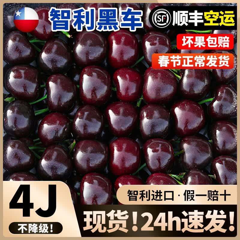 智利车厘子新鲜水果5斤礼盒当季整箱孕妇进口大樱桃4jjjj现货 0g(净重)  j26mm(含)-28mm(不含)