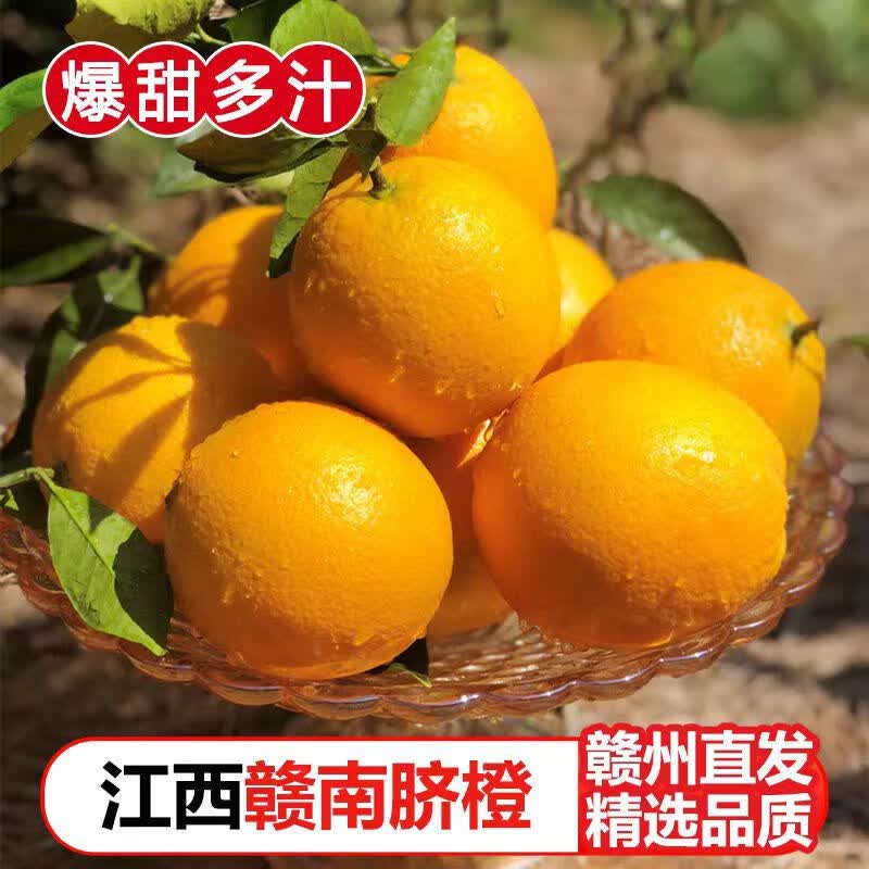 正宗江西赣州赣南脐橙新鲜水果9斤产地直发当季整箱手剥橙子现摘 3斤 60-65mm