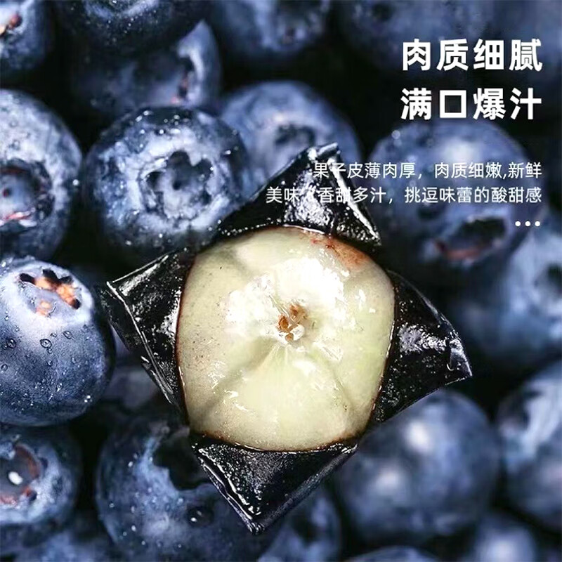 智宙云南花香蓝莓【多地次日达】国产水果新中梅生鲜果送礼品物盒 尝鲜中小果 4盒（100-125g/盒）丨单果12-15mm+
