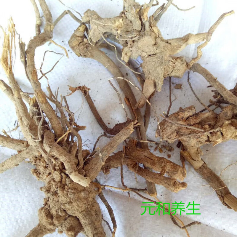 过饥草闽南白毛将军中草药土丁桂辛苦草羊耳菊根兔子耳朵乌根煲汤中