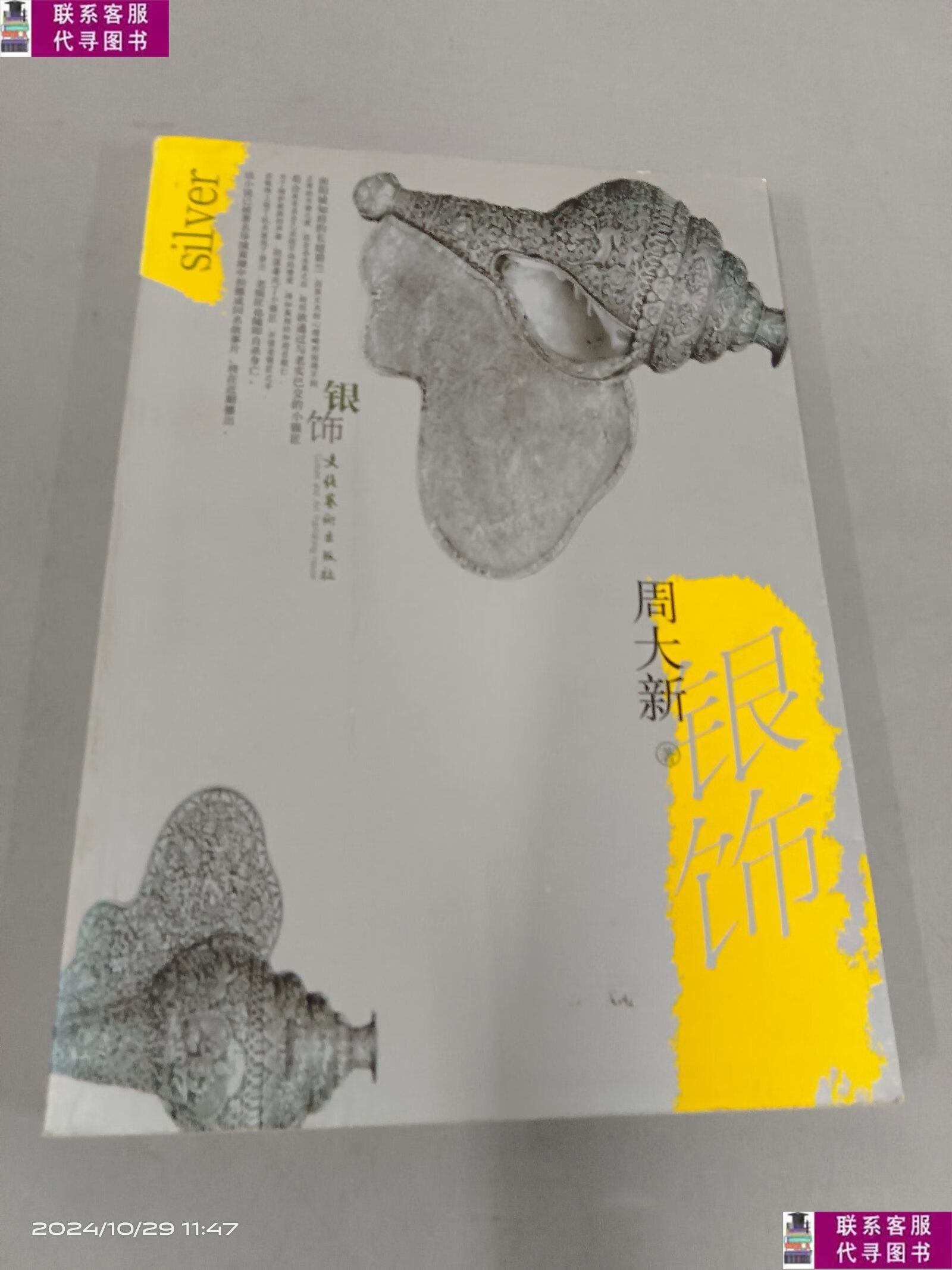 银饰 /周大新 文化艺术出版社