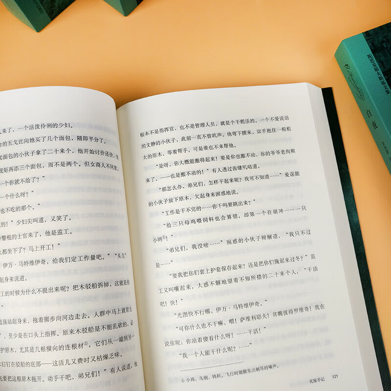 卡拉马佐夫兄弟罪与罚地下室手记白痴白夜被侮辱与被损害的人少年死屋手记被伤害与侮辱的人们鬼涅朵奇卡:一个女人的一生巅峰三部曲破晓四部曲等陀思妥耶夫斯基文集全集 上海译文出版社陀·思妥耶夫斯基文集全套10