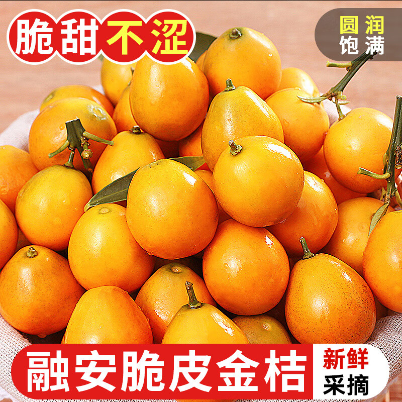探味君 广西脆皮小金桔 应当季脆蜜滑黄皮小金桔橘桔子融安新鲜水果 净重2.8-3斤 中果（约45个/斤）