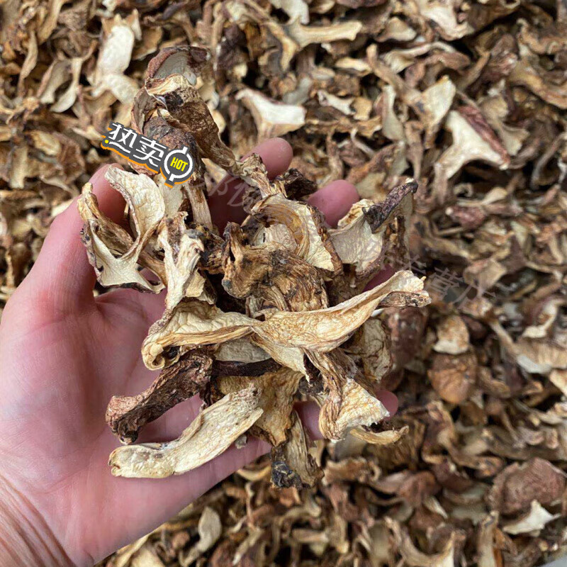 云南特产藏区青杠菌青冈菌青岗菌鸡丝菌干片山珍菇青杆菌500g 一斤装