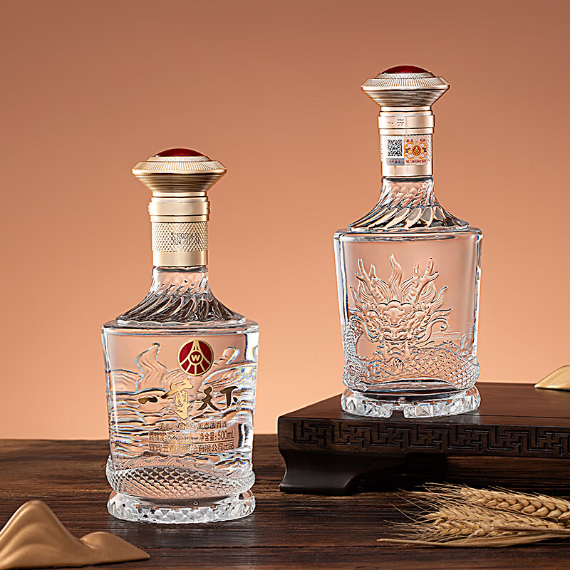 五粮液股份公司出品一尊天下52度浓香型白酒宴请送礼   年货礼盒 52度 500mL 2瓶 盛世佳品礼盒