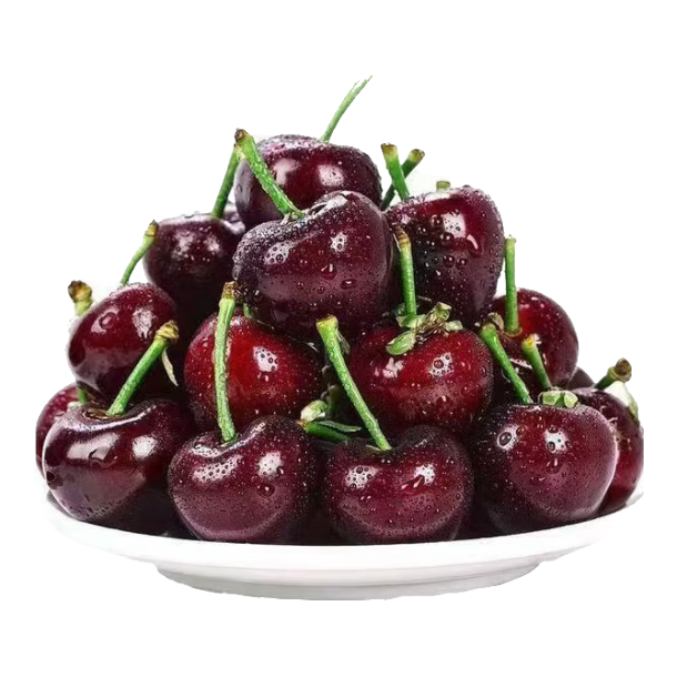 集南鲜 智利车厘子进口大樱桃【JD速运-多地次日达】水果年货礼盒 5斤(净重) 臻品原箱礼盒JJJJ级