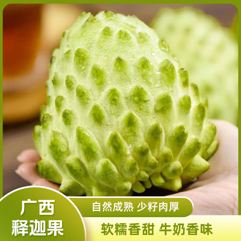 ӭ ȹ 3ѡŴ2.5 24.9Ԫ