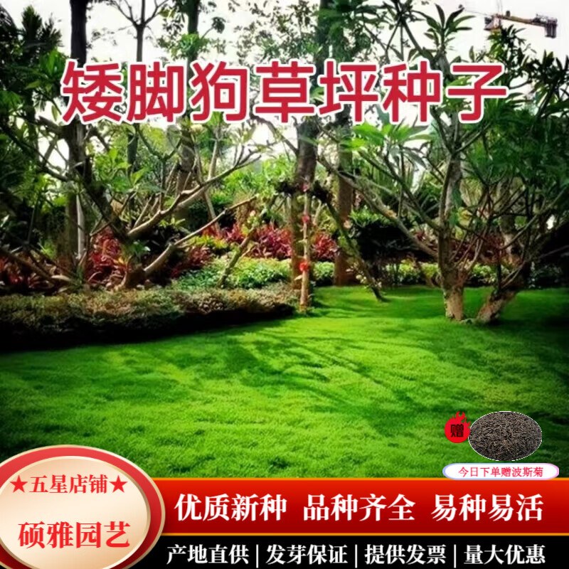 ˶԰սڲƺӲļͥԺ̻ƺݻ²޼ Ź1ͺ̤ Ĭ8