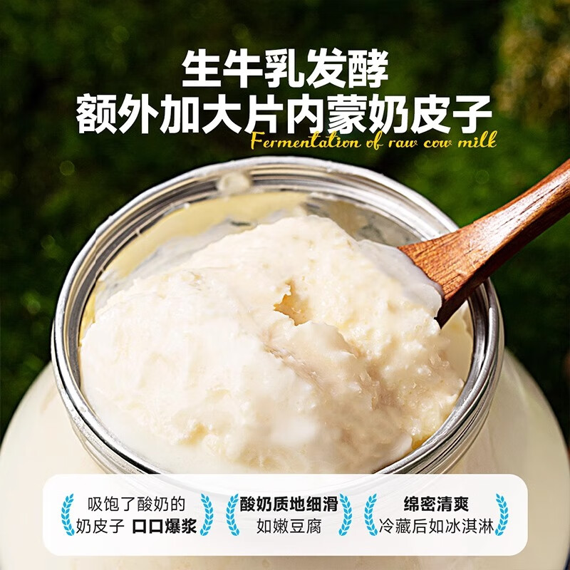 西域美农奶皮子酸奶列巴420g内蒙古特产奶皮子奶酪夹心面包早餐零食 欧若姆鲜奶皮子酸奶570g*2罐