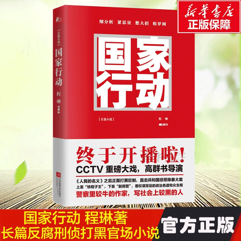 【正版】国家行动 程琳著 张译主演同名电视剧原著小说长篇反腐刑侦 人民的名义天局同类 官场小说现当代文学畅销书籍排行榜