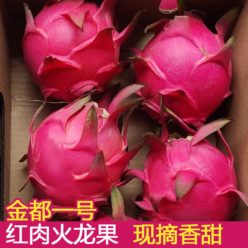 忆京源正宗海南金都一号红心火龙果 应季红肉超甜皮薄蜜宝新鲜孕妇水果 5斤精选大果【单果300g+】 【现摘当天发货】