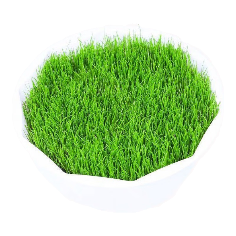 ����Ӳ�ƺ�����ͺ��ͲȰ����̻�������/���»첥����1��Դͷֱ�� 8.9Ԫ