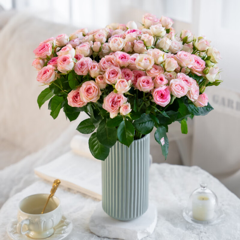 �����ʻ� �ʻ���ͥ����廨�ʻ��������������ʻ����������ʻ� ���ɫ��ͷõ����5֧��5֧��30-50�仨ͷ��