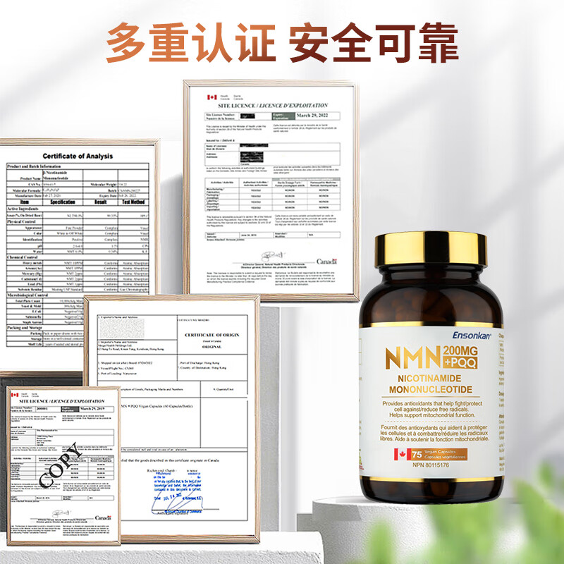 Ensonkan安迅康NMN15000+PQQ胶囊加拿大原装进口β-烟酰胺单核苷酸nad补充 1瓶装【初步调理 日常养护】