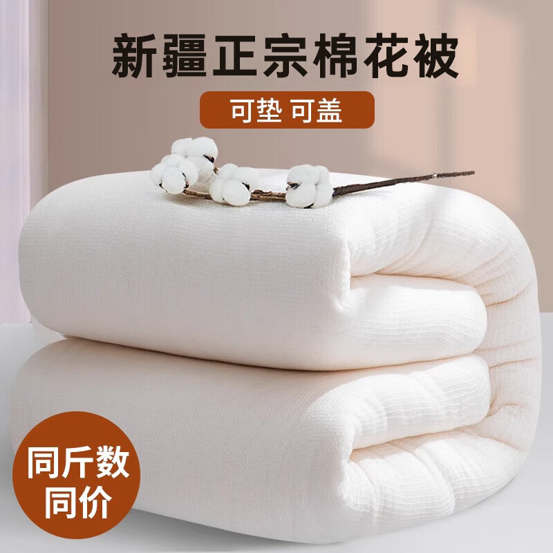 南极人（Nanjiren）新疆正宗棉被芯棉絮被子棉花被褥被子春秋宿舍单人垫被铺底冬被 新疆棉花被-约6斤 150x200cm