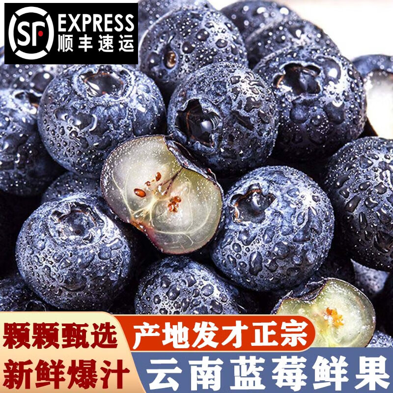 京蚨鲜云南蓝莓鲜果新鲜水果【顺丰-多地次日达】现摘孕妇水果 8盒 中果【14-18mm】100克/盒