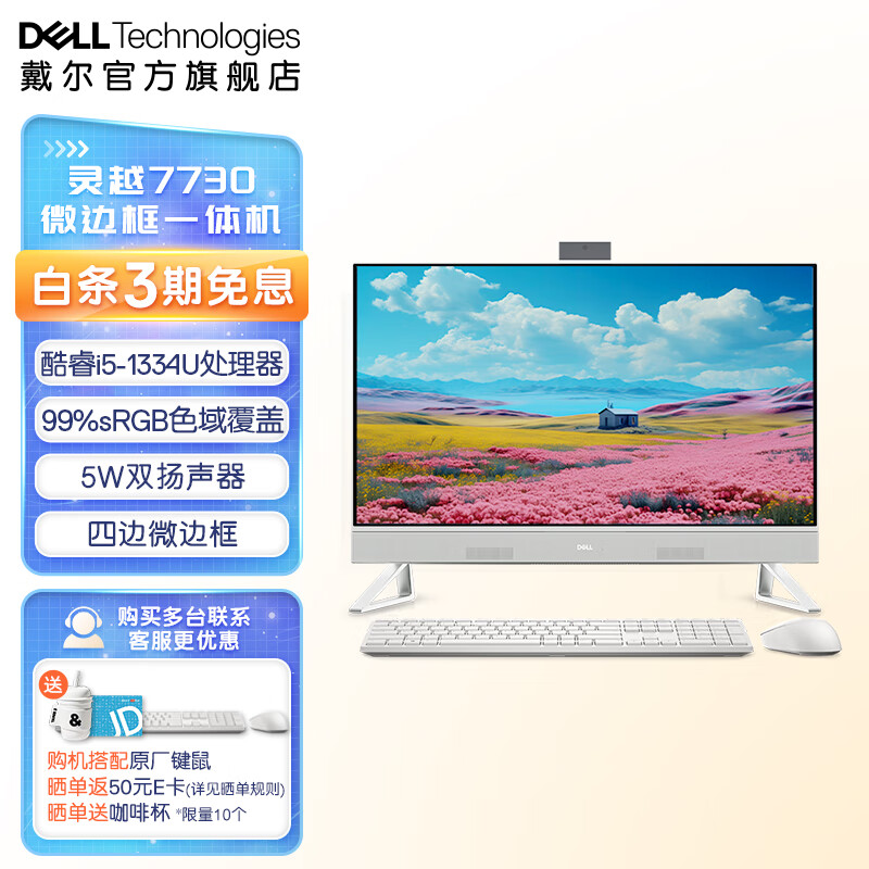 戴尔（DELL） 灵越5430/7730酷睿网课办公微边框一体机收银台式电脑学生家用护眼大屏电脑23.8/27英寸 27英寸|4509白|酷睿i5|16G|512G 官方标配