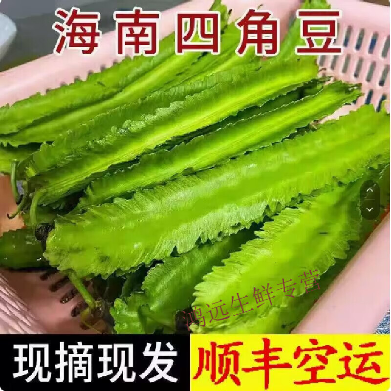 海南豆角四棱豆四角豆龍角豆皇帝豆鮮嫩應(yīng)季新鮮蔬菜現(xiàn)摘整箱包郵 3斤 順豐空運