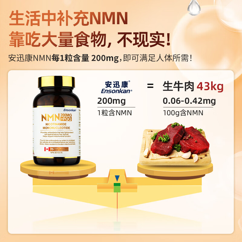 Ensonkan安迅康NMN15000+PQQ胶囊加拿大原装进口β-烟酰胺单核苷酸nad补充 1瓶装【初步调理 日常养护】